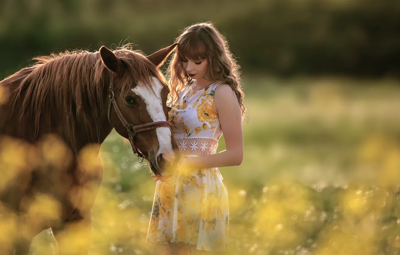 Фото обои лето, девушка, природа, поза, лошадь, платье, боке