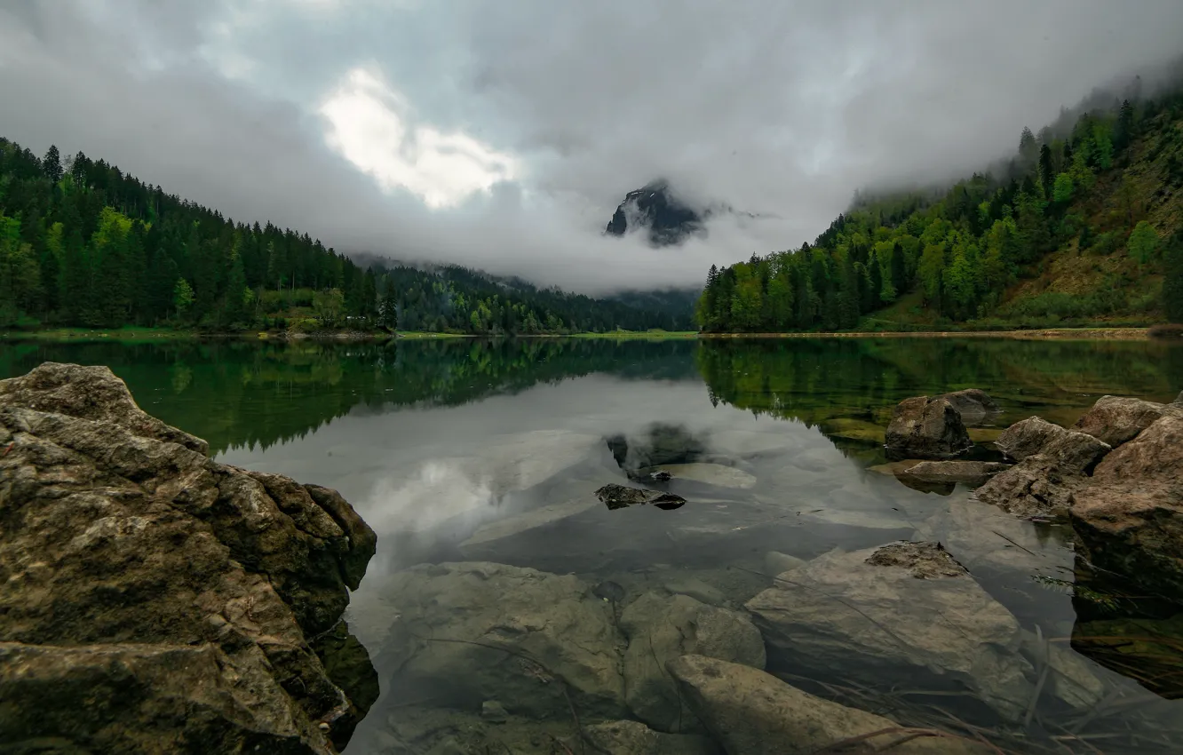 Фото обои лес, облака, горы, туман, озеро, отражение, камни, берег