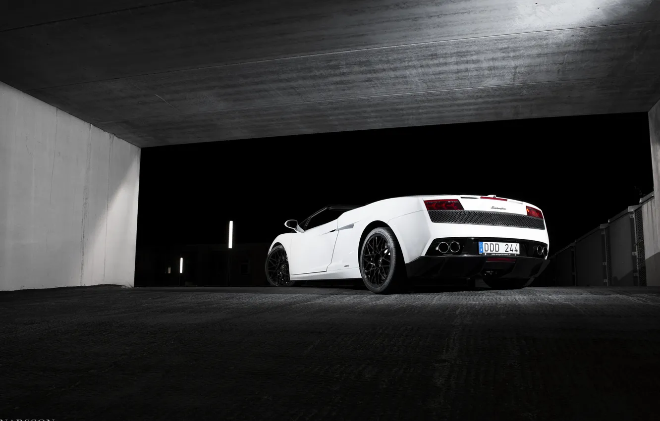 Фото обои Lamborghini, белая, white, Gallardo, lambo, ламборгини, 560-4