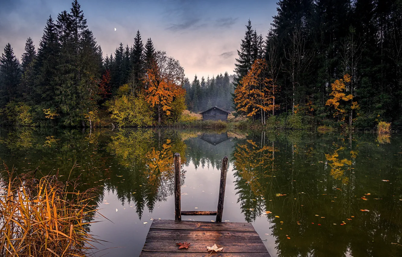 Фото обои осень, лес, небо, деревья, отражение, луна, берег, вечер