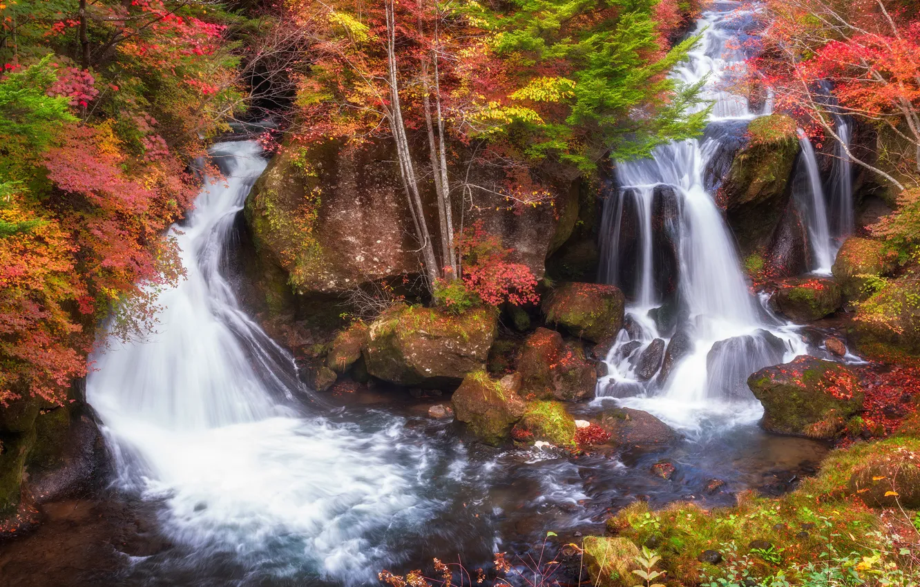 Фото обои осень, листья, деревья, ветки, камни, берег, листва, водопад