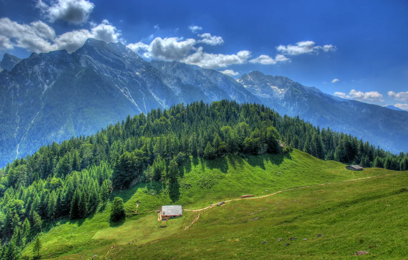Фото обои зелень, лес, небо, солнце, облака, деревья, горы, HDR