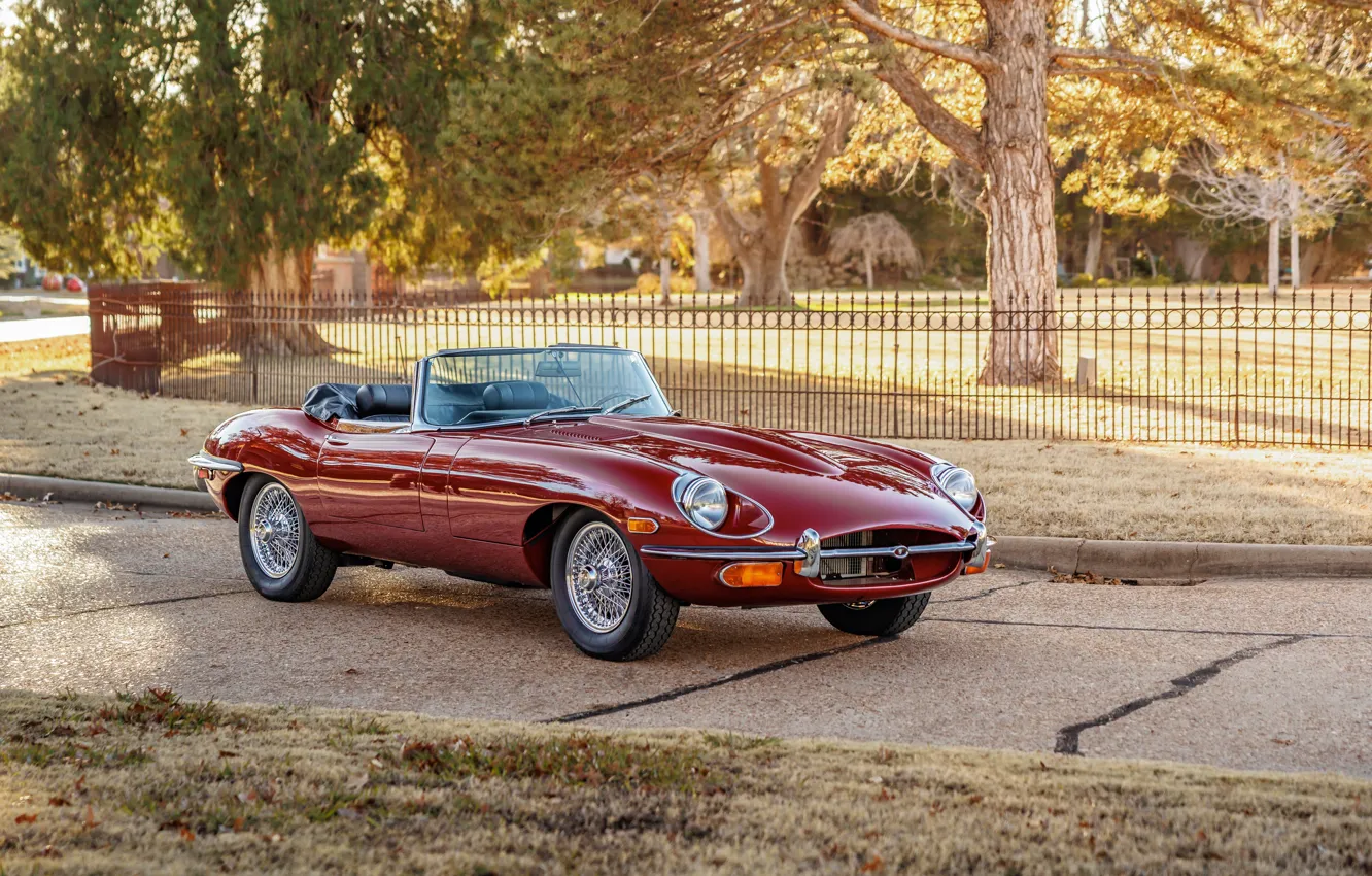 Фото обои Jaguar, E-Type, 1970, Jaguar E-Type, front view