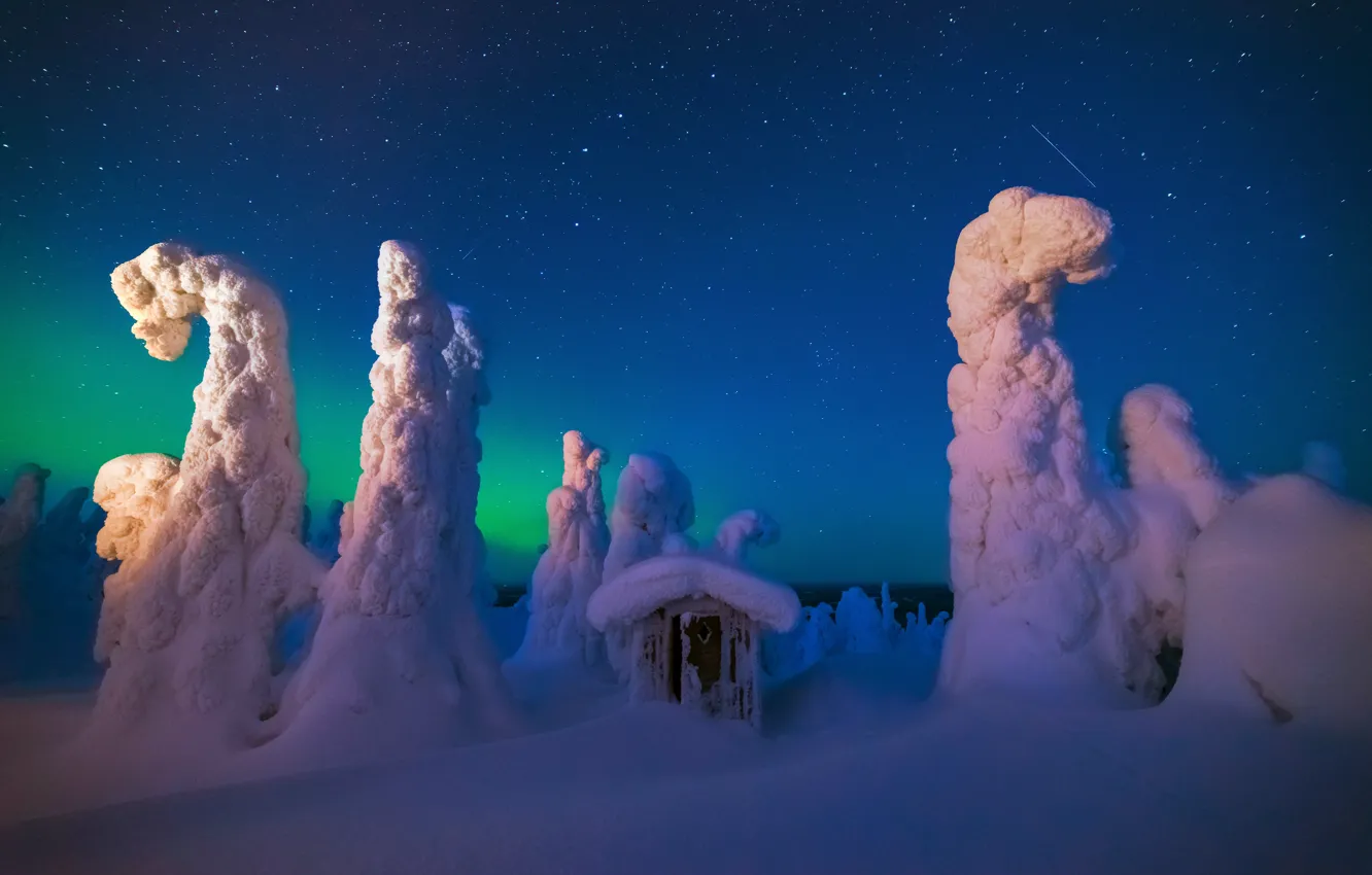 Фото обои зима, небо, звезды, снег, ночь, северное сияние, сарай, север