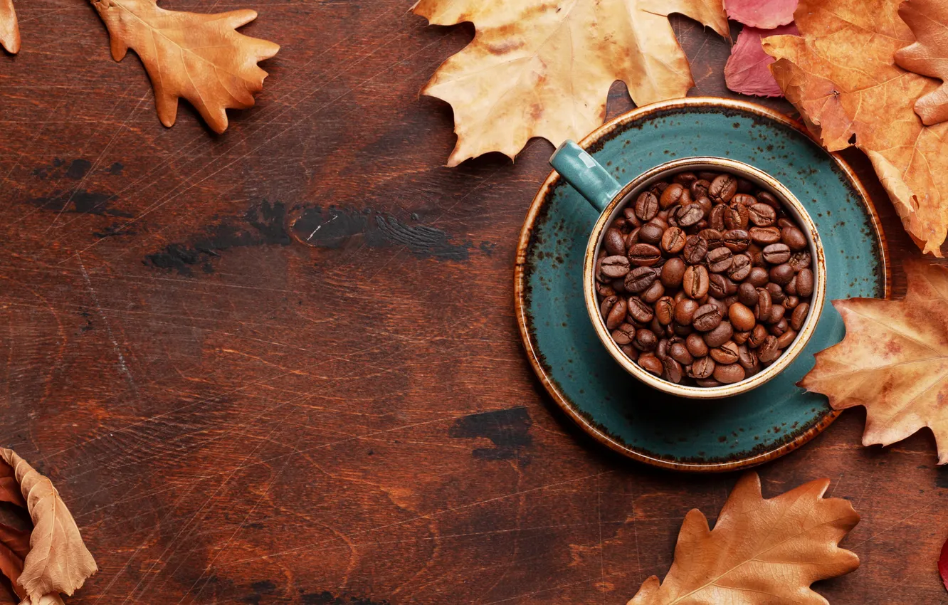 Фото обои осень, листья, зерна, wood, autumn, leaves, cup, beans