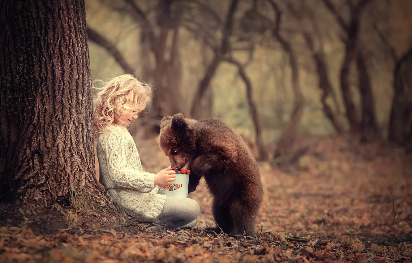 Фото обои ягоды, девочка, медвежонок, угощение