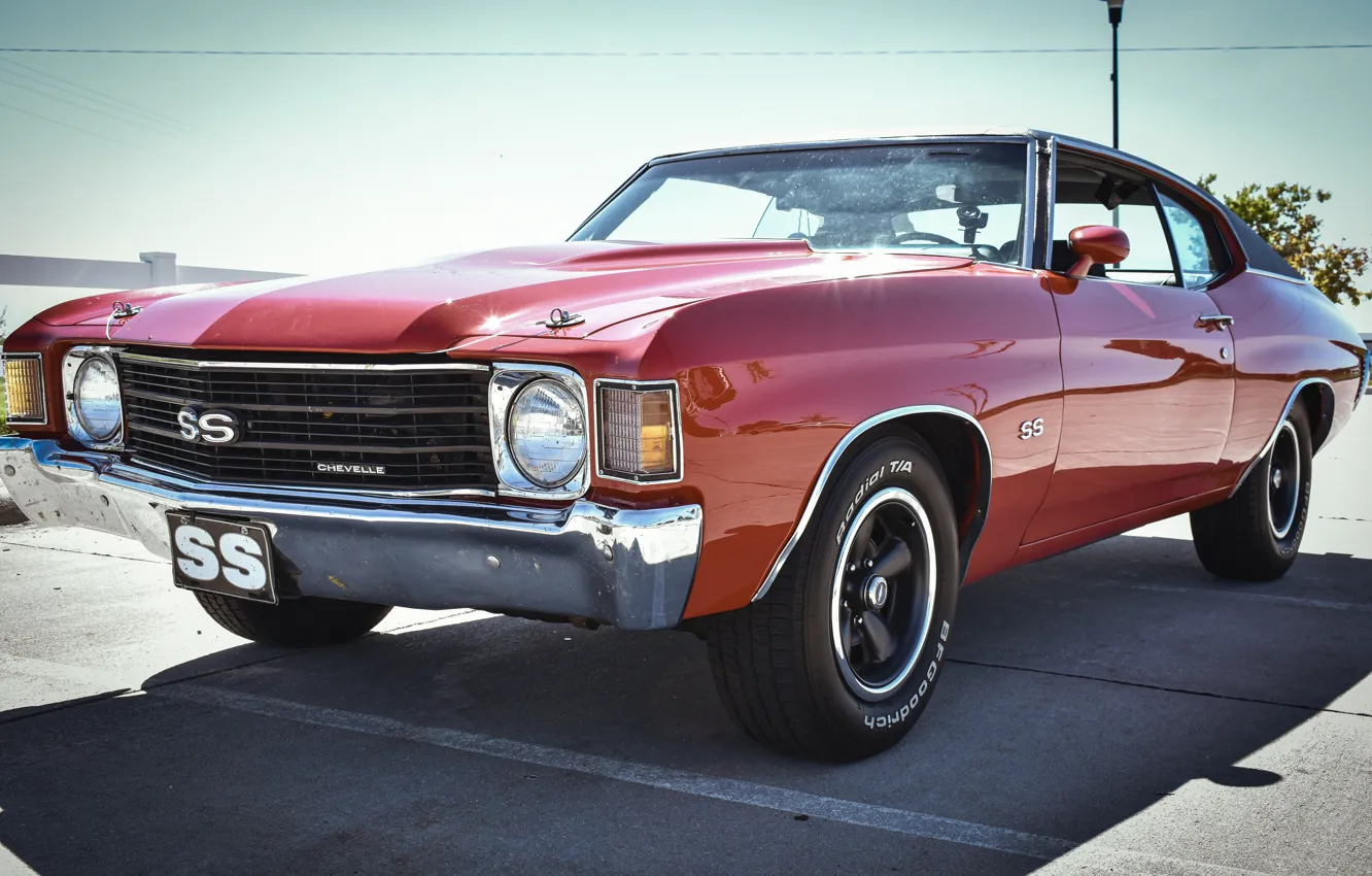 Фото обои Camaro, Camaro SS, Muscle Car, Chevrolet Camaro SS, Edwin Hooper