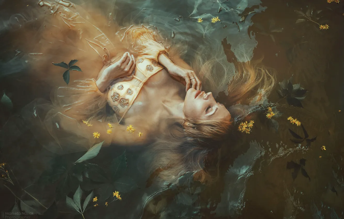 Фото обои листья, вода, девушка, цветы, поза, ситуация, платье, закрытые глаза