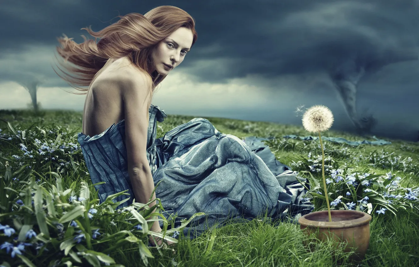 Фото обои трава, девушка, креатив, одуванчик, ветер, ураган, горшок, шатенка