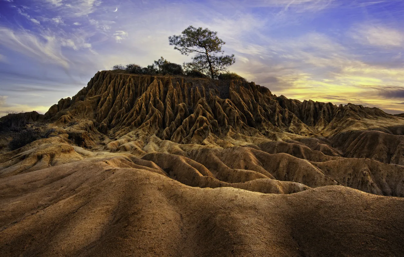 Фото обои песок, закат, дерево, холм, рельеф, бугры