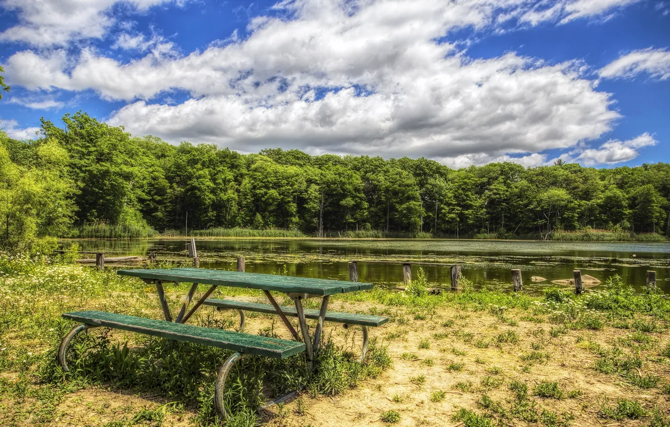 Фото обои лес, скамейка, озеро, HDR, summer, sky, coast, forests