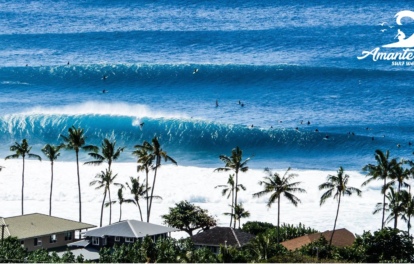 Фото обои LOGO, SURF, AMANTE, HAWAII