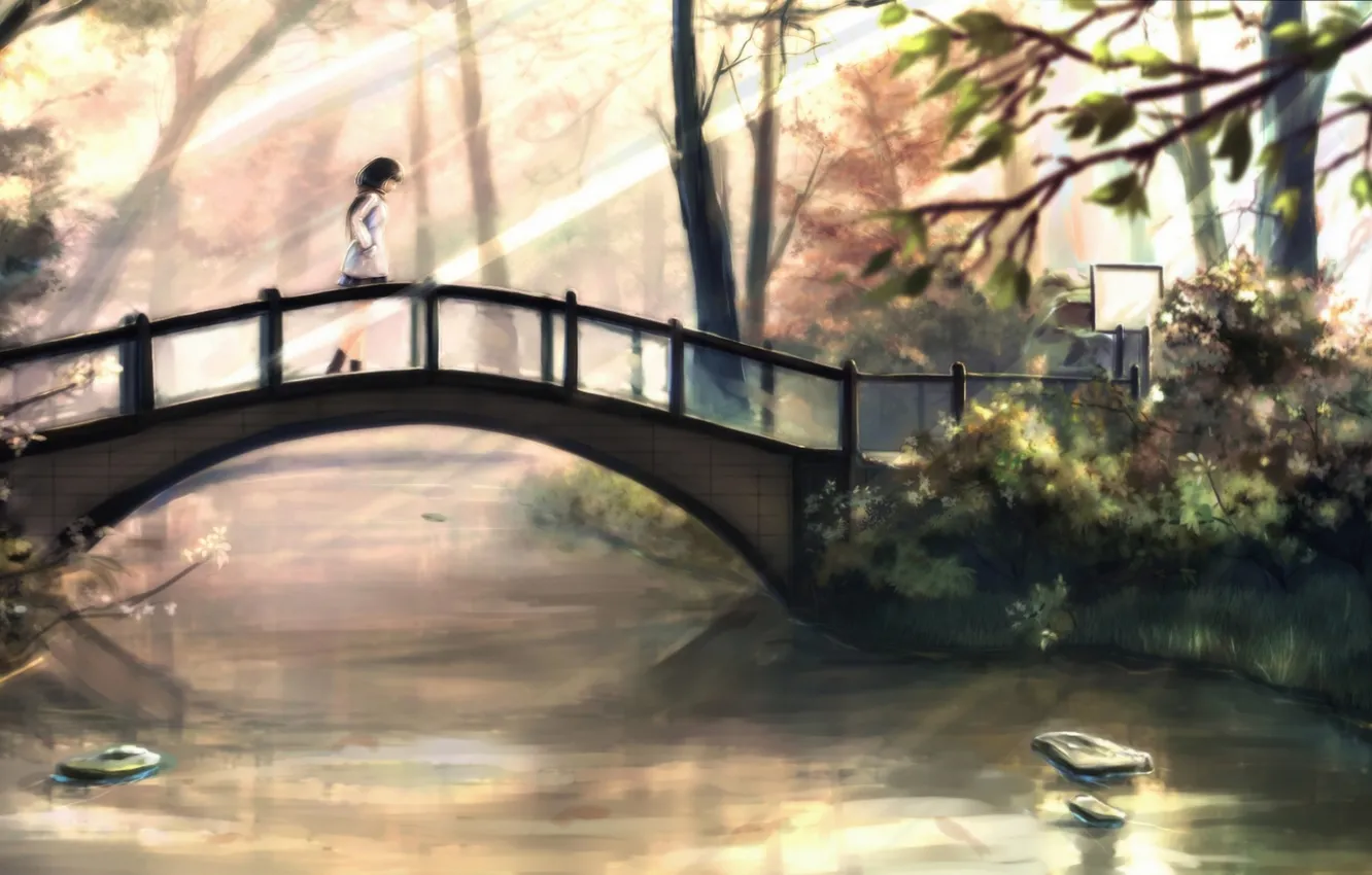 Фото обои осень, девушка, солнце, мост, речка, art, kikivi