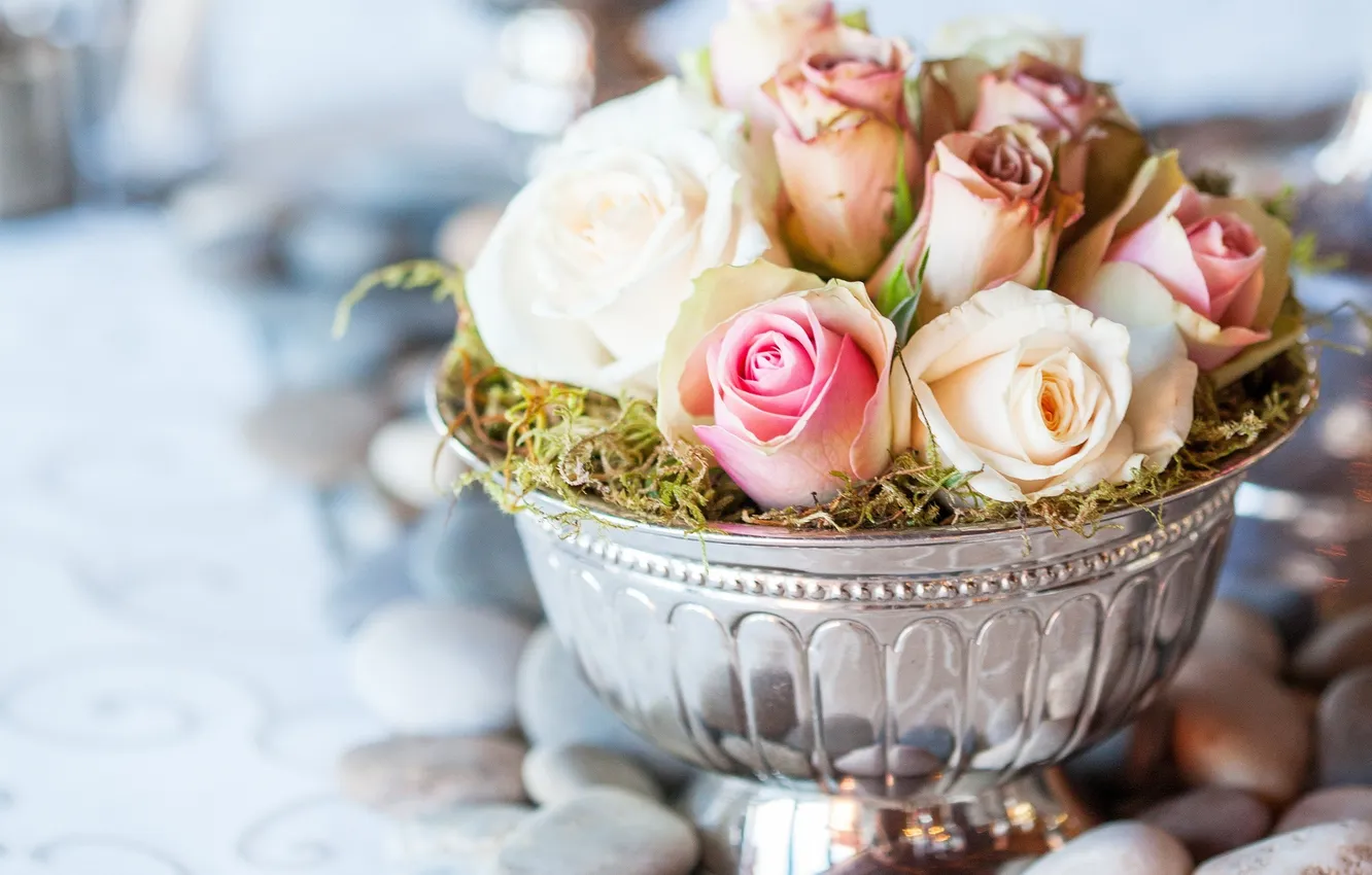 Фото обои цветы, розы, ваза, камешки