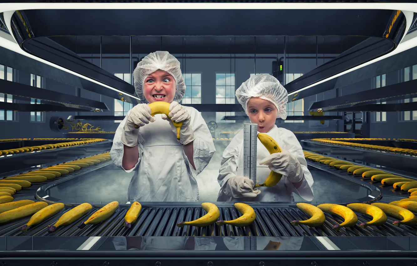 Фото обои завод, девочки, бананы, линейка