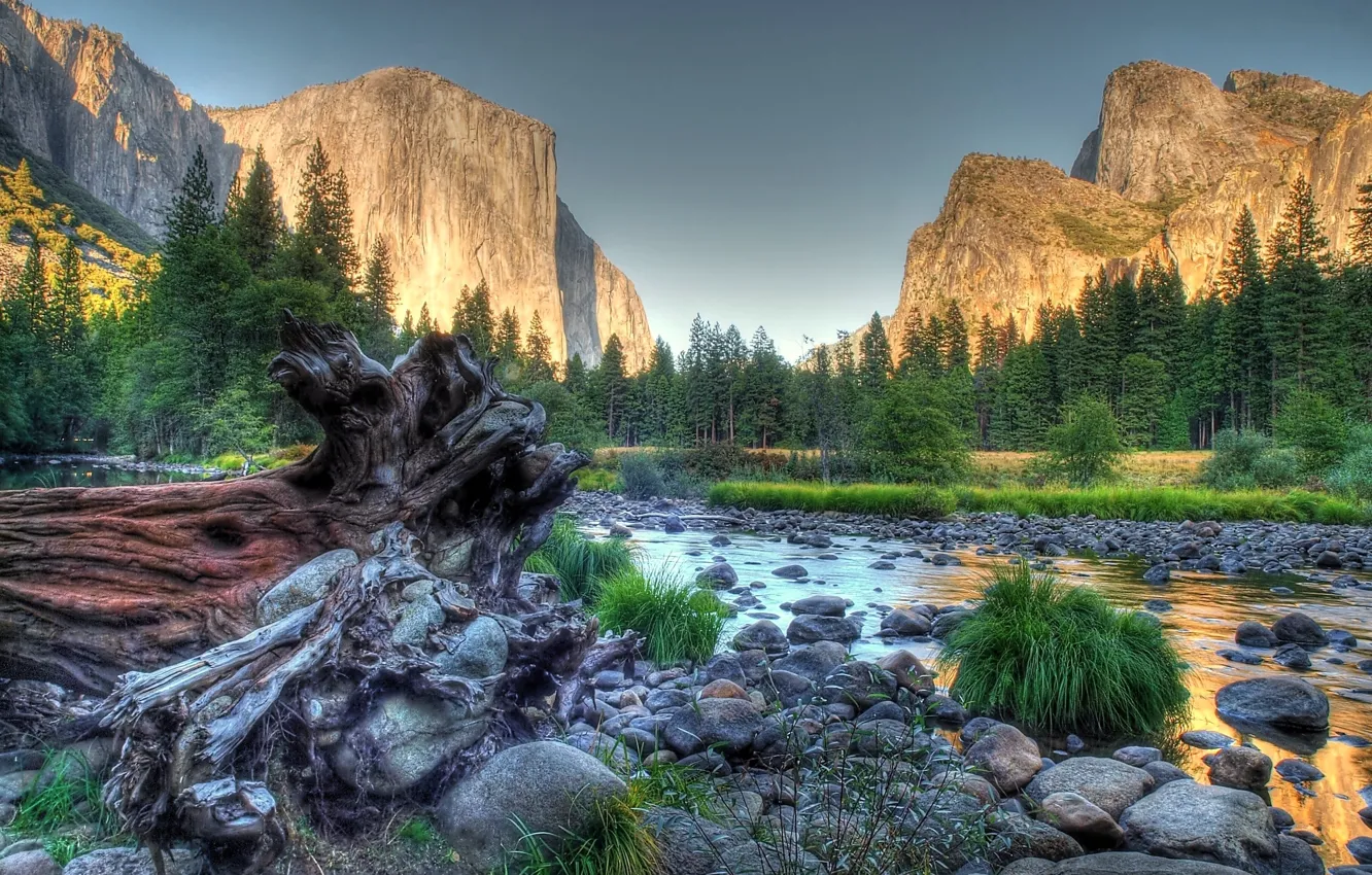 Фото обои лес, камни, поток, Горы, долина, Yosemite National Park, стремнина