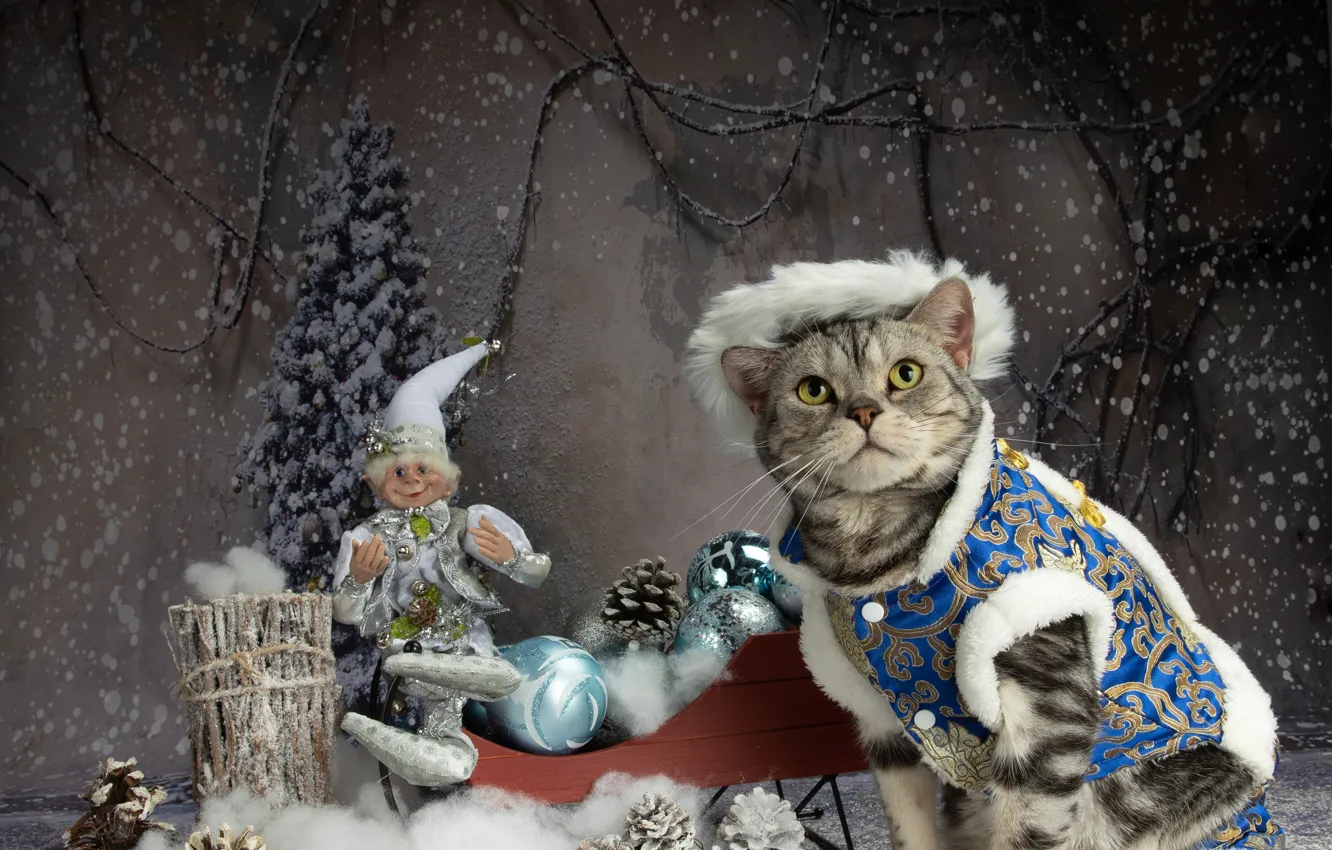Фото обои кошка, игрушка, Рождество, наряд, Новый год, сани, шишки, декорация