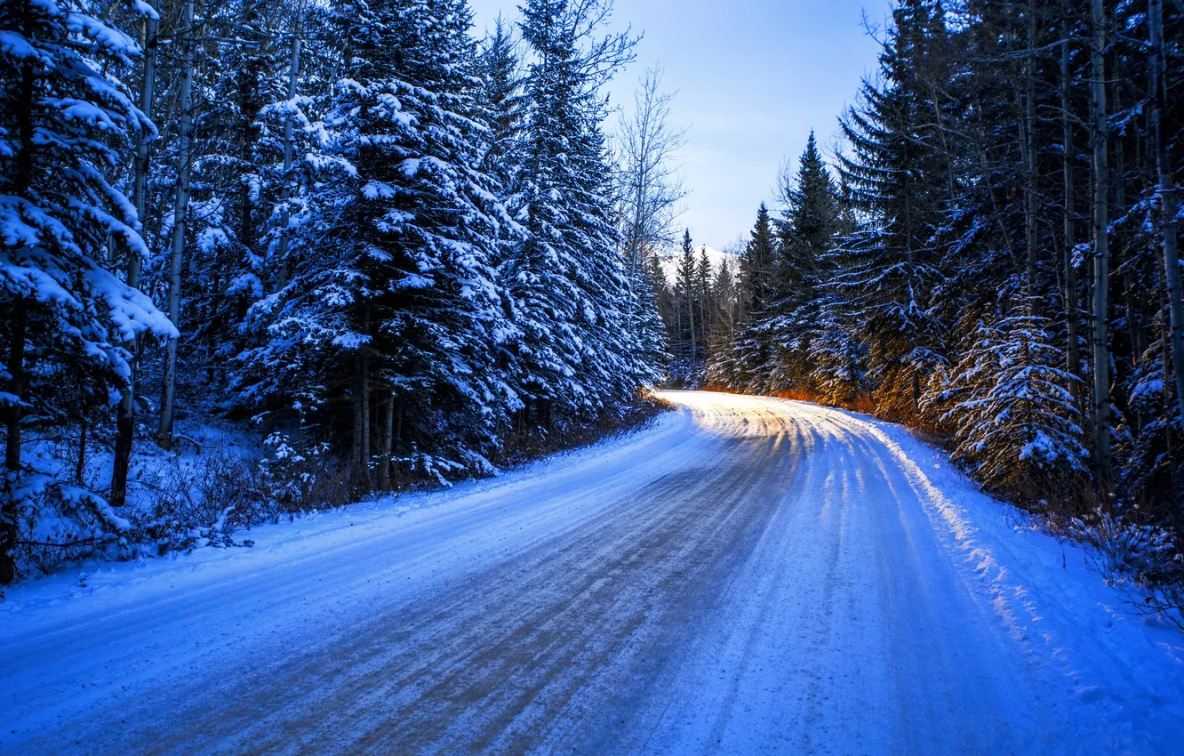 Фото обои зима, дорога, лес, солнце, снег, деревья, поворот