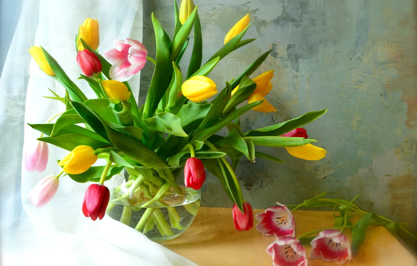Фото обои букет, тюльпаны, бутоны