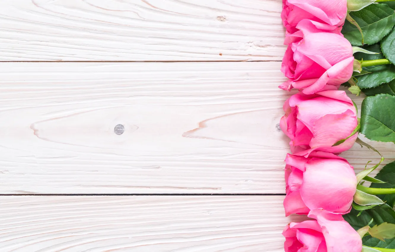 Фото обои розовый, розы, букет, бутоны, деревянный фон