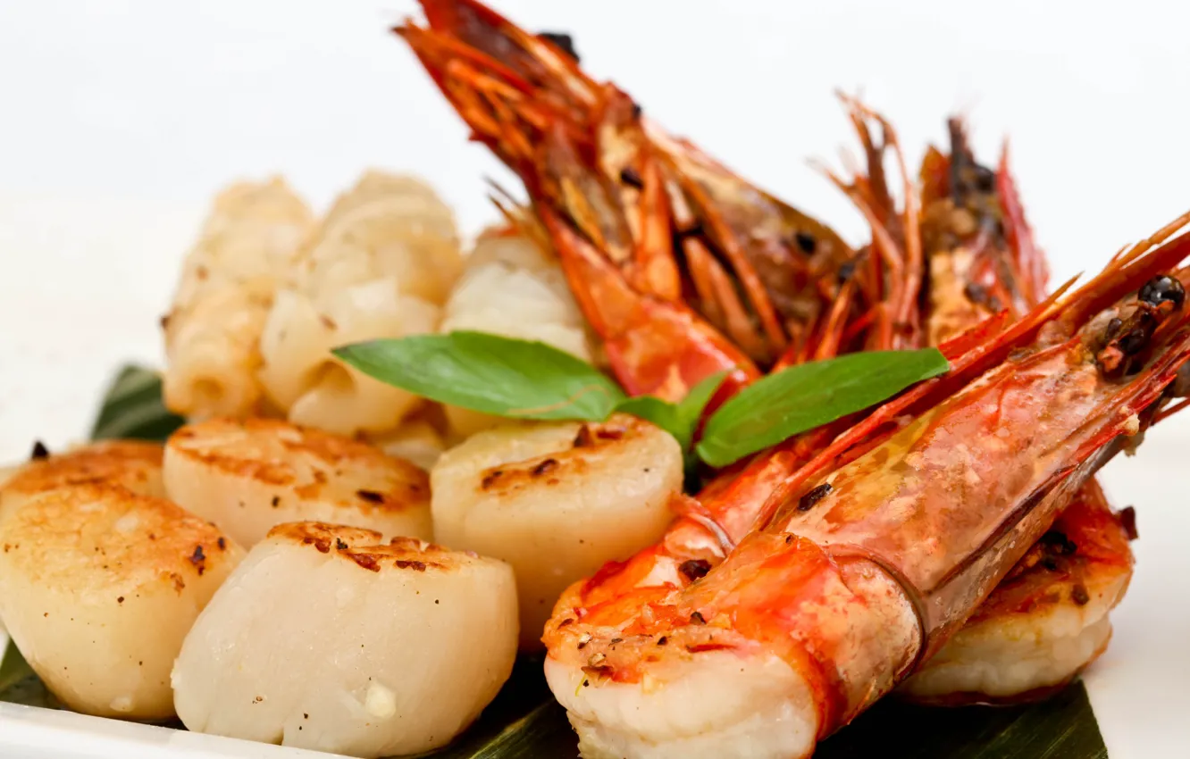 Фото обои greens, shrimp, scallop, seafood salad
