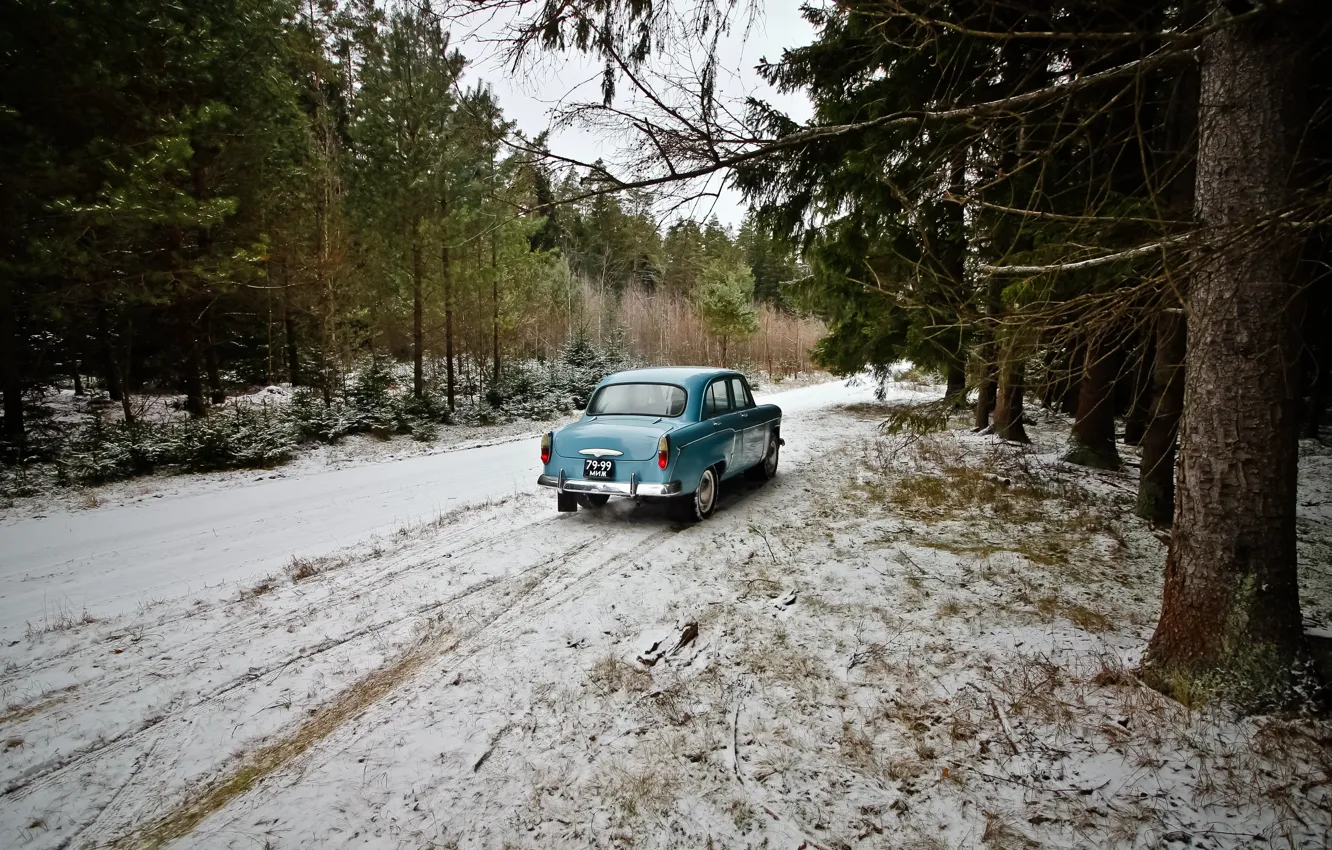 Фото обои зима, лес, Moskvich