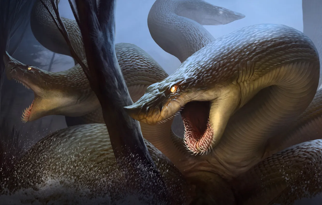 Фото обои Hydra, Лернейская гидра, RJ Palmer, водяная змея, змееподобное чудовище с ядовитым дыханием, в древнегреческой мифологии …