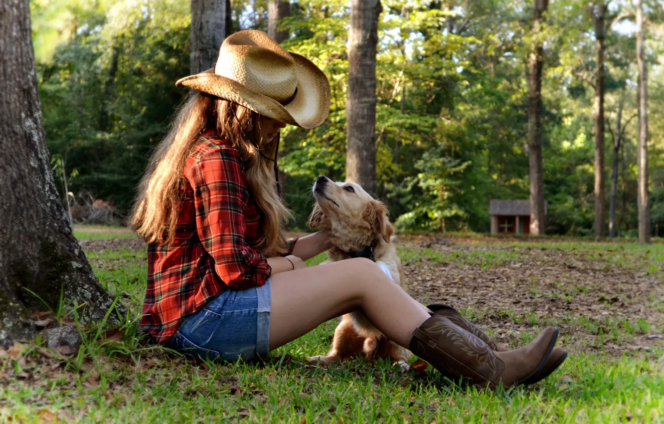 Фото обои трава, девушка, закат, дерево, собака, шляпа, домик, сидя
