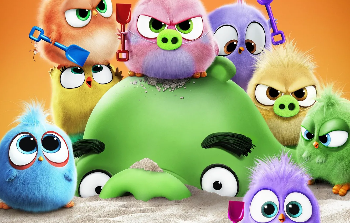 Фото обои песок, птички, птенцы, свинка, The Angry Birds Movie 2