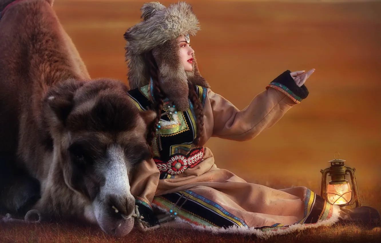 Фото обои девушка, фон, верблюд