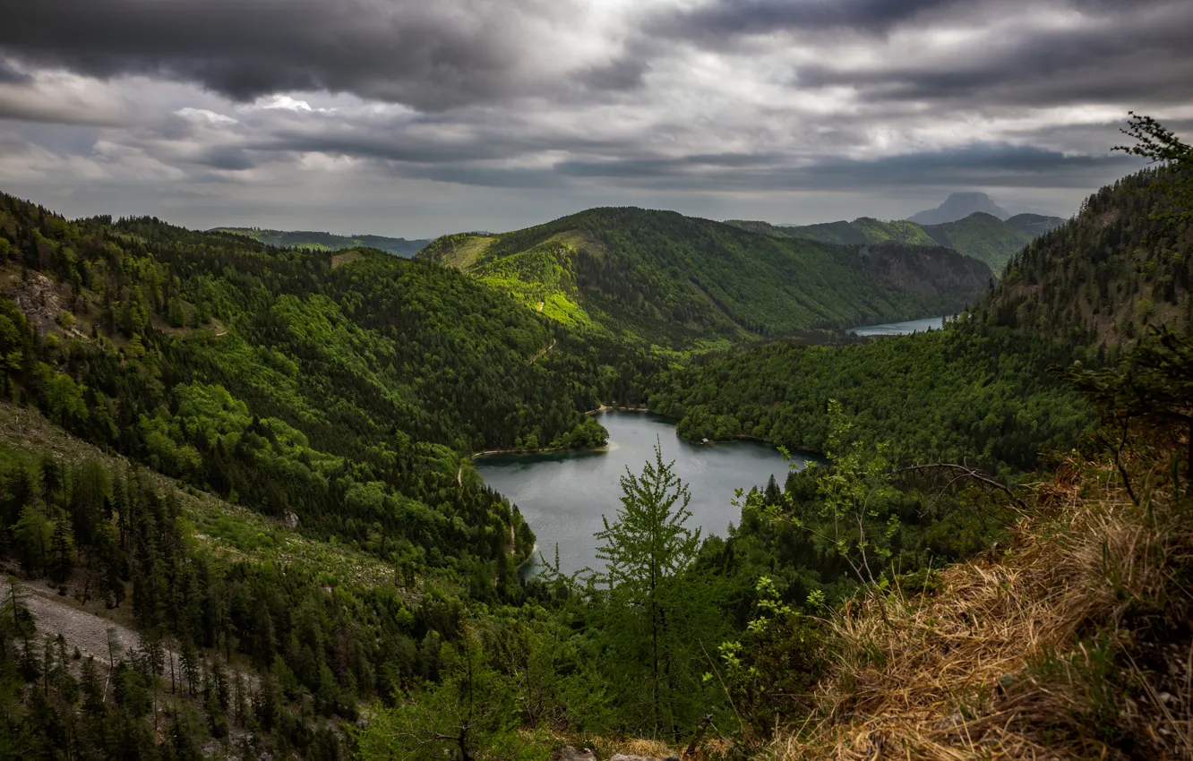 Фото обои лес, горы, Австрия, озёра, Langbathseen