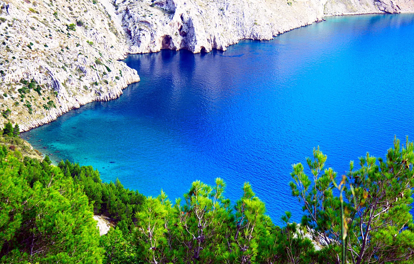 Фото обои море, лес, горы, природа, Omis and Makarska, Ядран