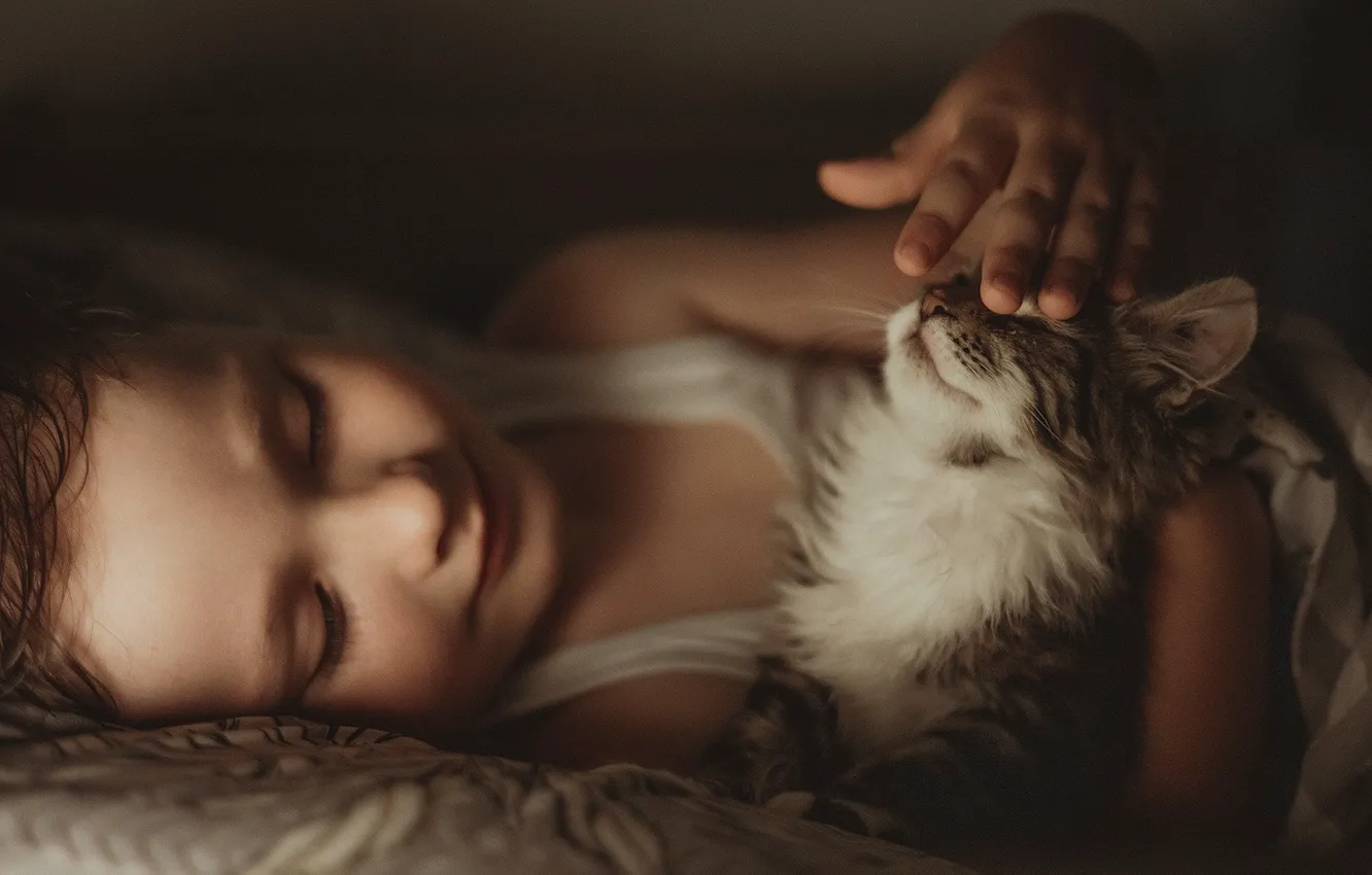 Фото обои девочка, постель, детёныш, котёнок, ребёнок, Александр Калинин