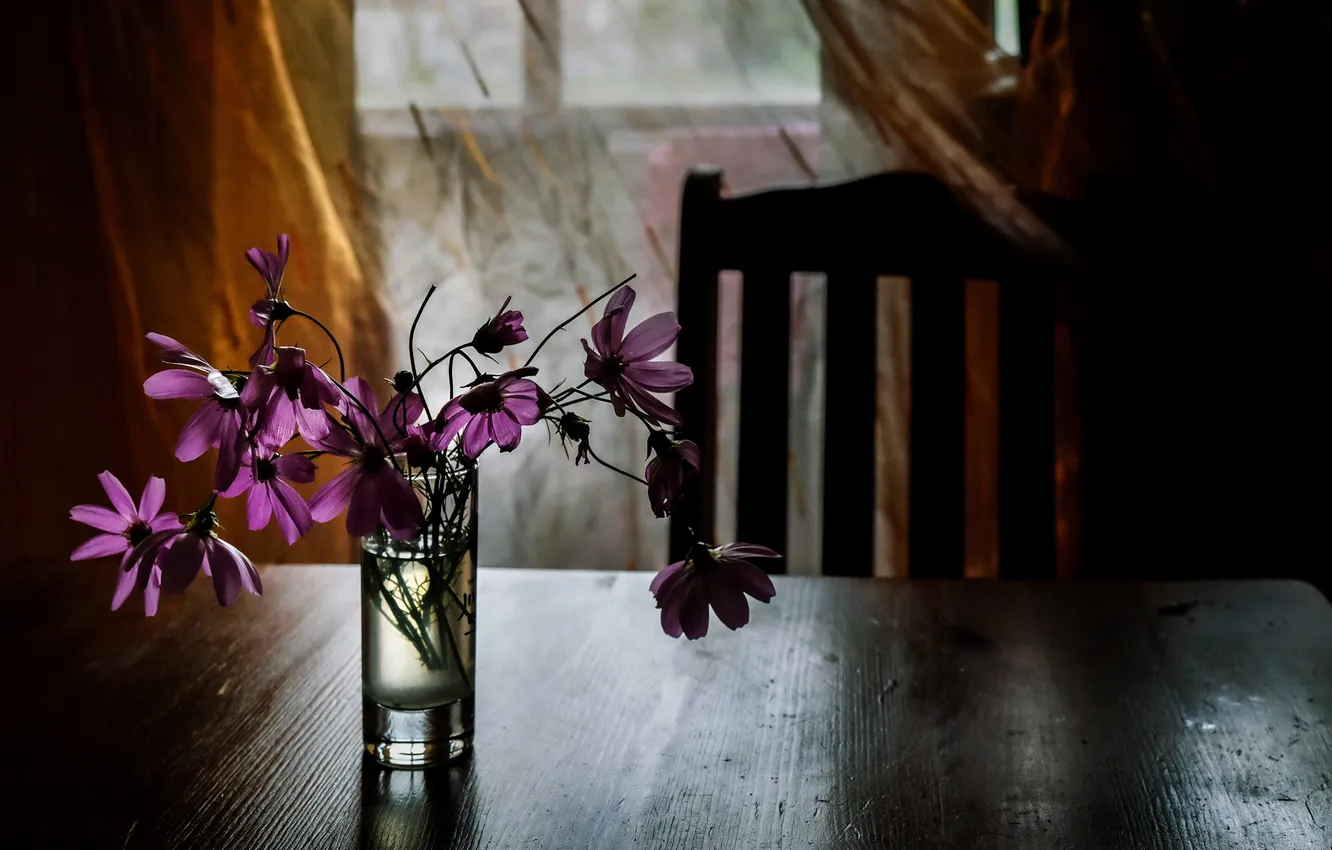 Фото обои цветы, стол, комната
