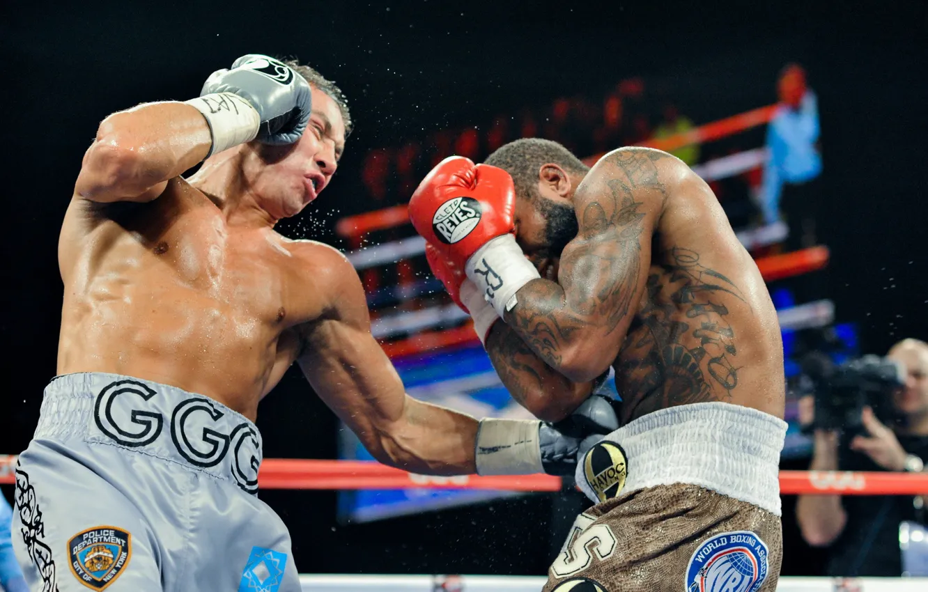 Фото обои boxing, Gennady Golovkin, Curtis Stevens
