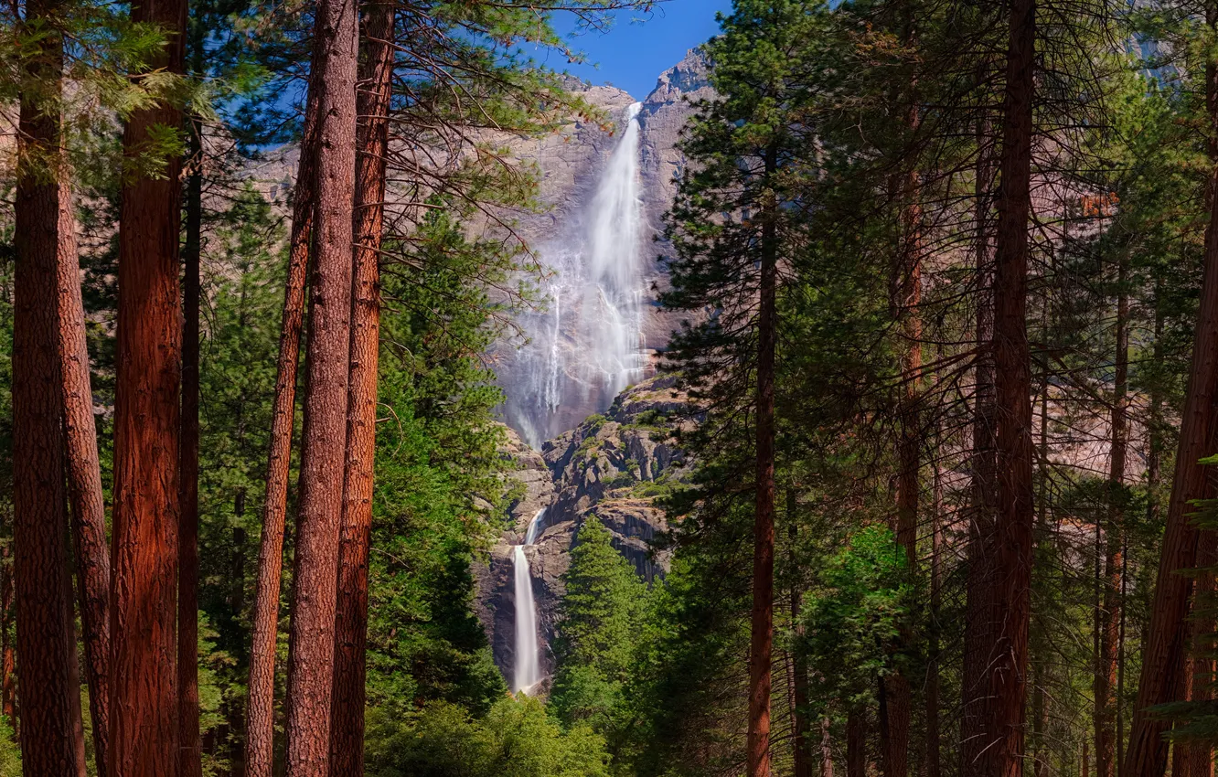Фото обои лес, деревья, горы, природа, скалы, стволы, водопад, сосны