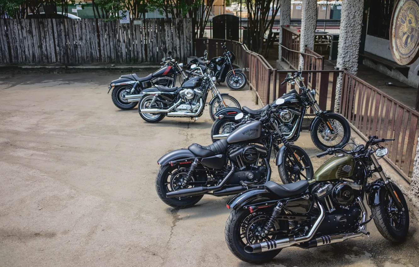 Фото обои bike, Street, classic, american, Harley-Davidson, Custom, Sportster, v-twin