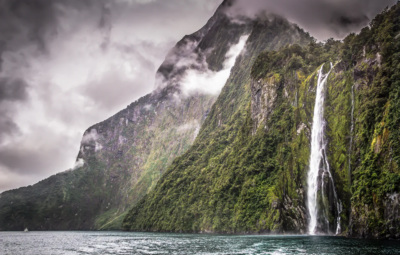Фото обои растительность, водопад, Новая Зеландия, New Zealand, waterfall, Milford Sound, vegetation, Милфорд Саунд