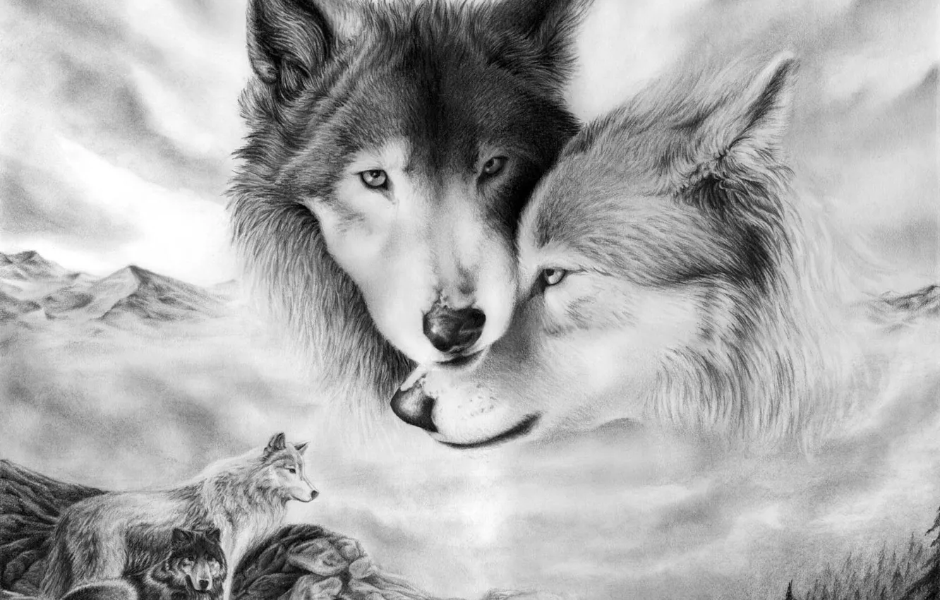Фото обои взгляд, любовь, нежность, рисунок, пара, волки