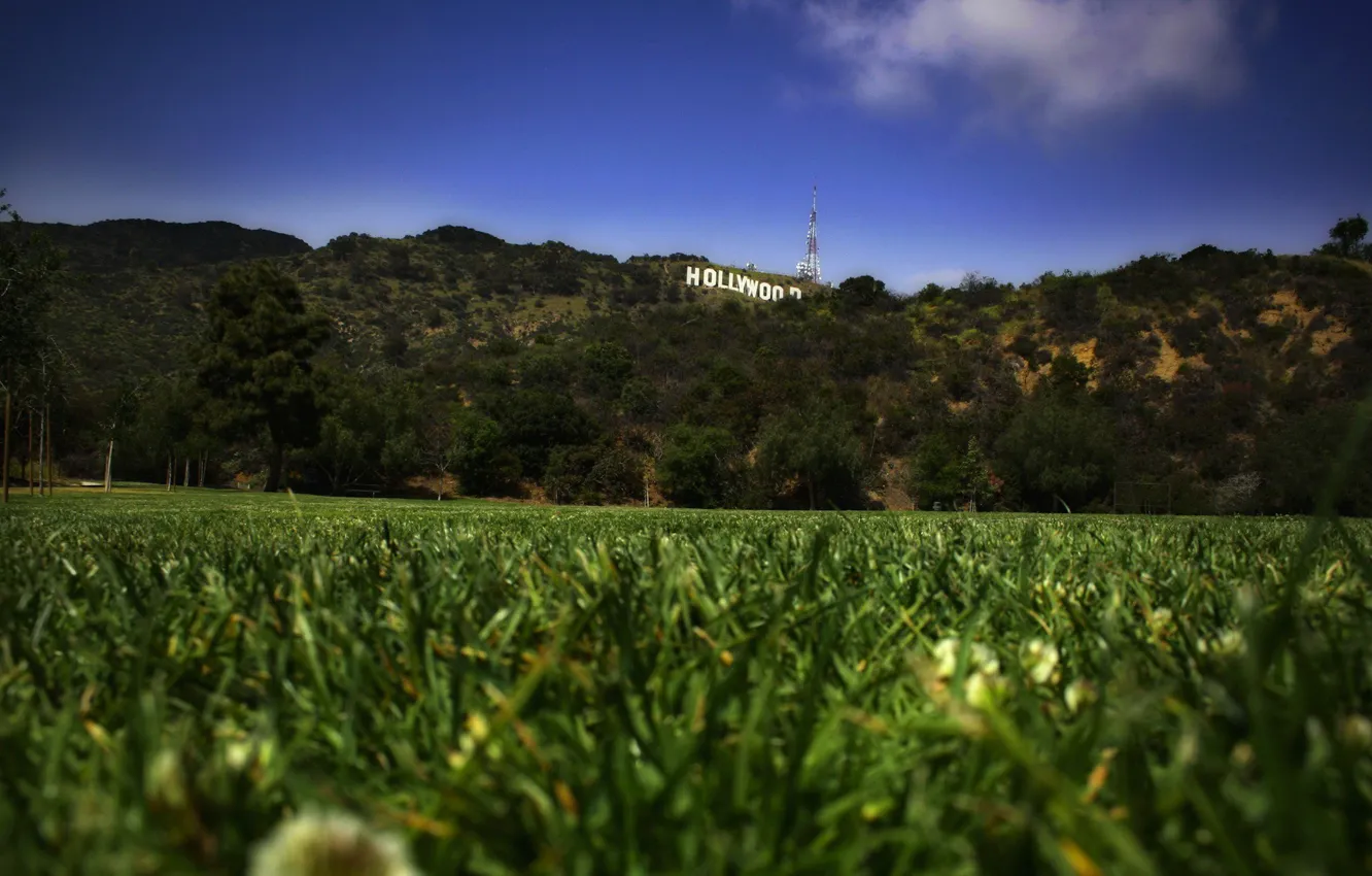 Фото обои газон, Трава, Hollywood, голливуд