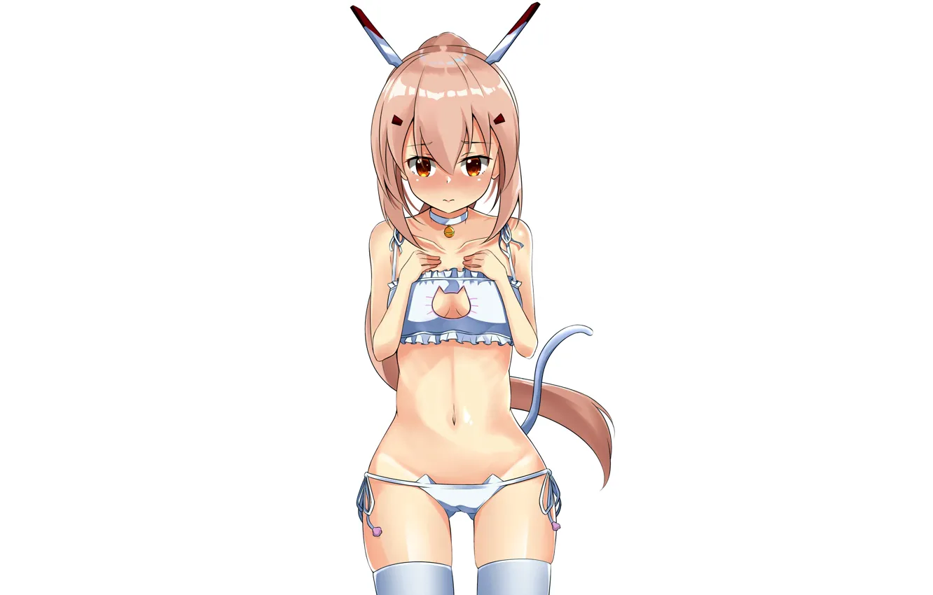 Фото обои girl, sexy, lingerie, pantsu, bra, cleavage, panties, thighhighs