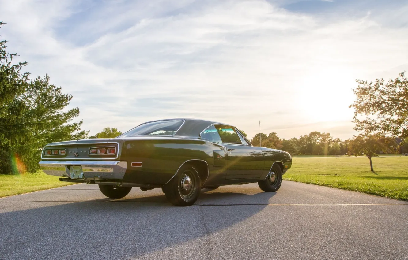 Фото обои Dodge, Green, 1970, Muscle car