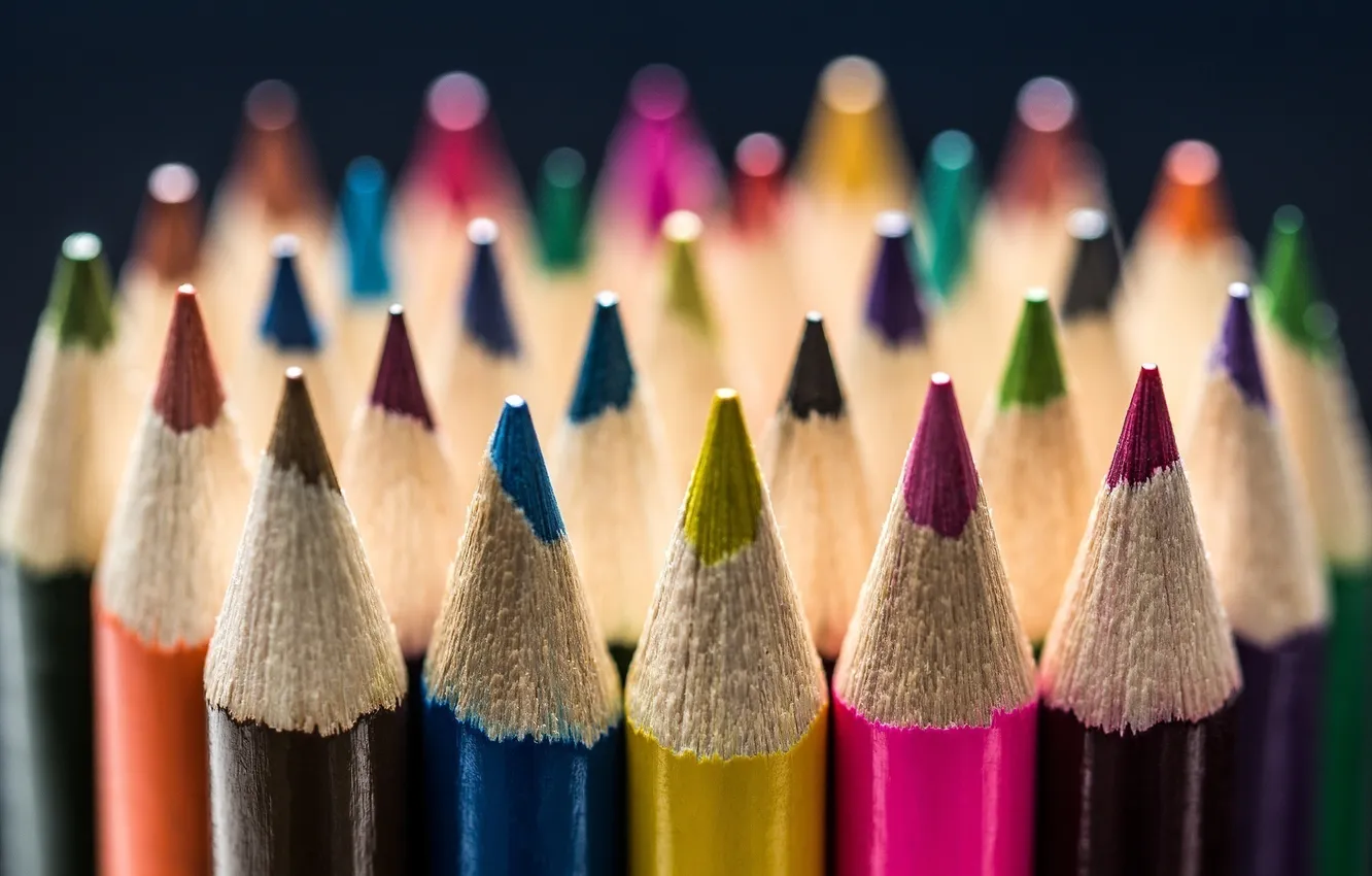 Фото обои макро, синий, жёлтый, розовый, коричневый, малиновый, цветные карандаши