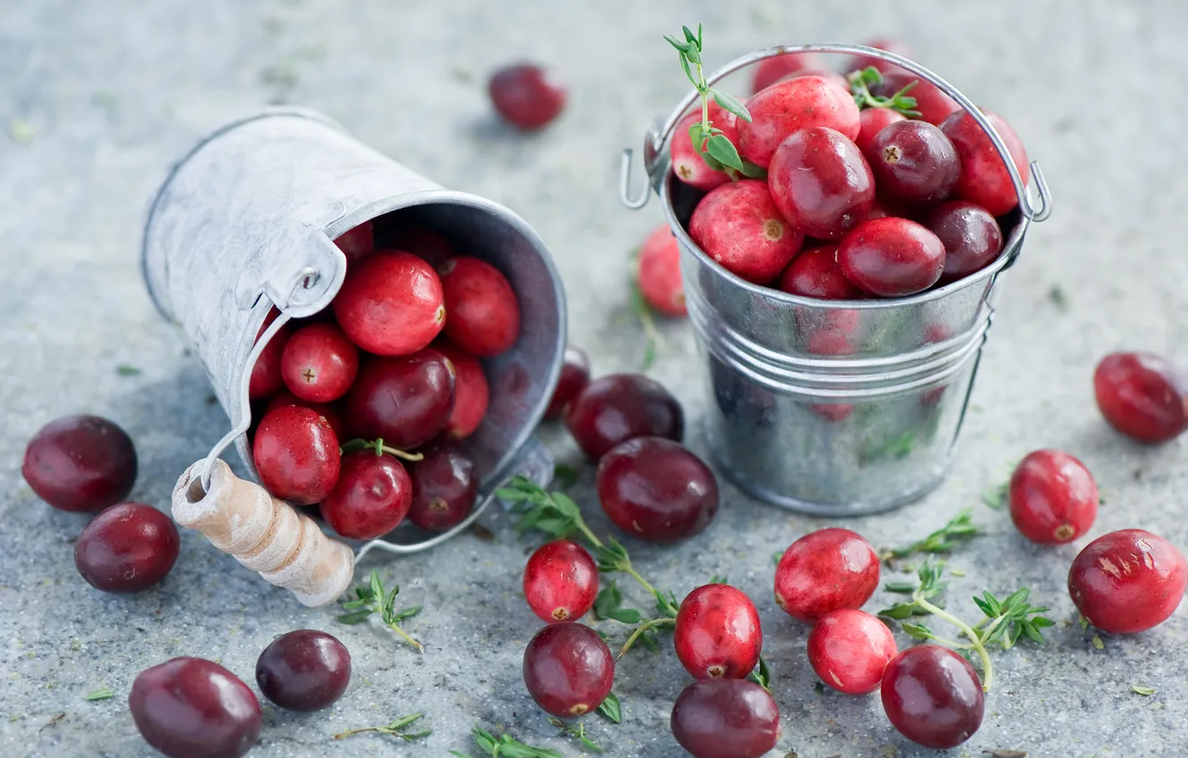 Фото обои ягоды, красные, Anna Verdina, клюква, ведерки