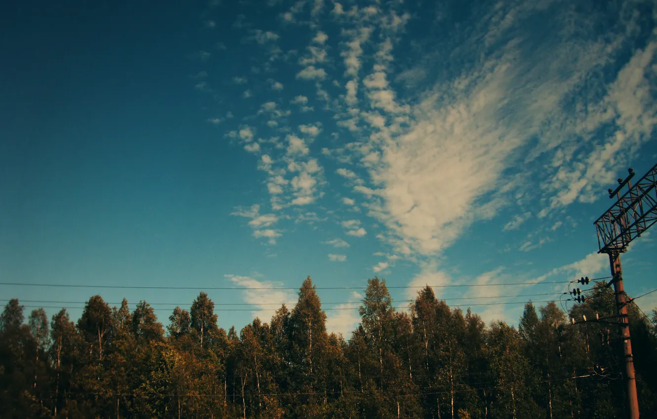 Фото обои небо, облака, деревья, провода