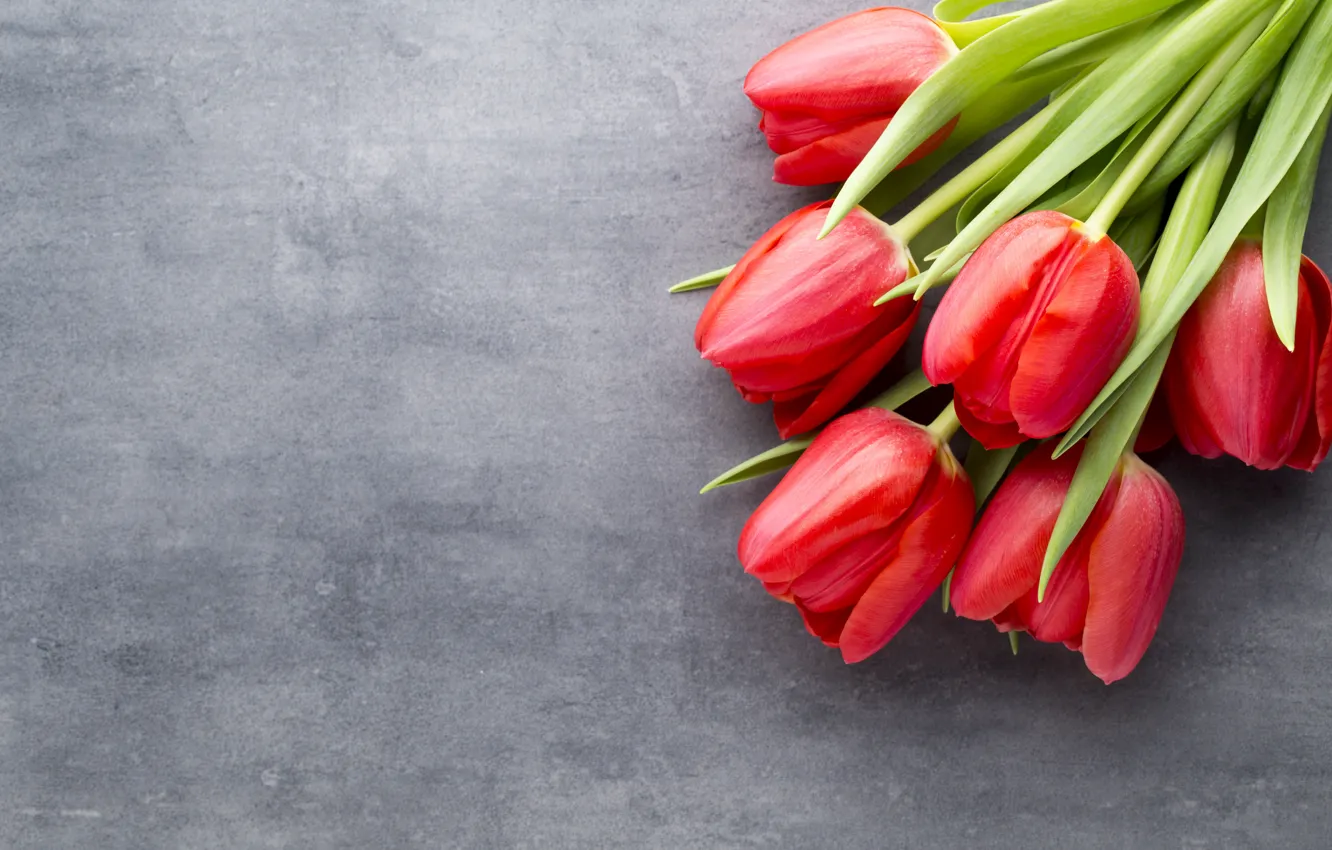 Фото обои цветы, букет, тюльпаны, красные, red, fresh, flowers, beautiful