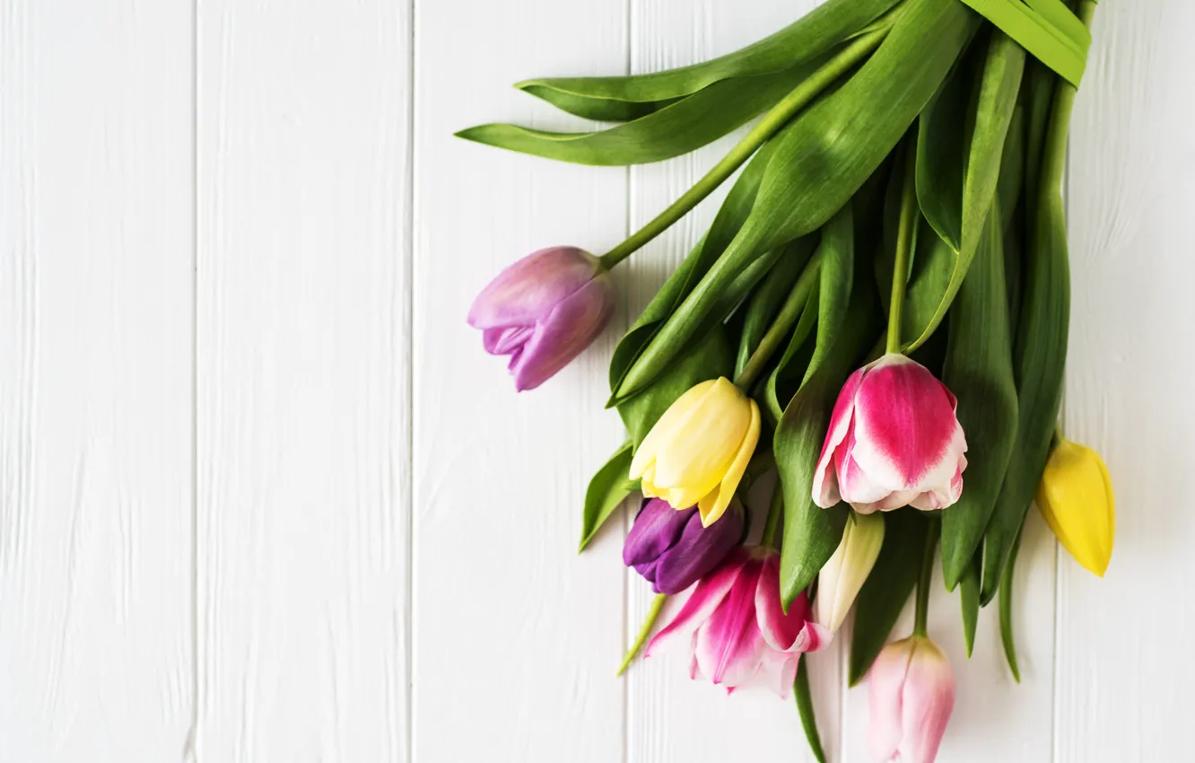 Фото обои белый, фон, лента, тюльпаны, wood, tulips, bouguet, Olena Rudo