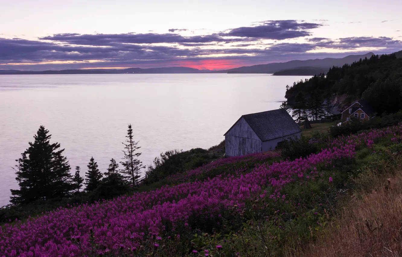 Фото обои цветы, озеро, дом, Канада