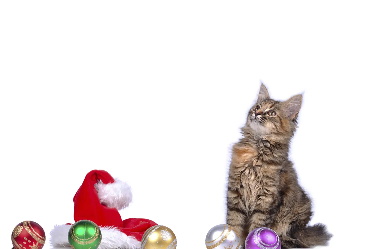 Фото обои кот, шарики, котенок, шапка, новый год, cat, New Year