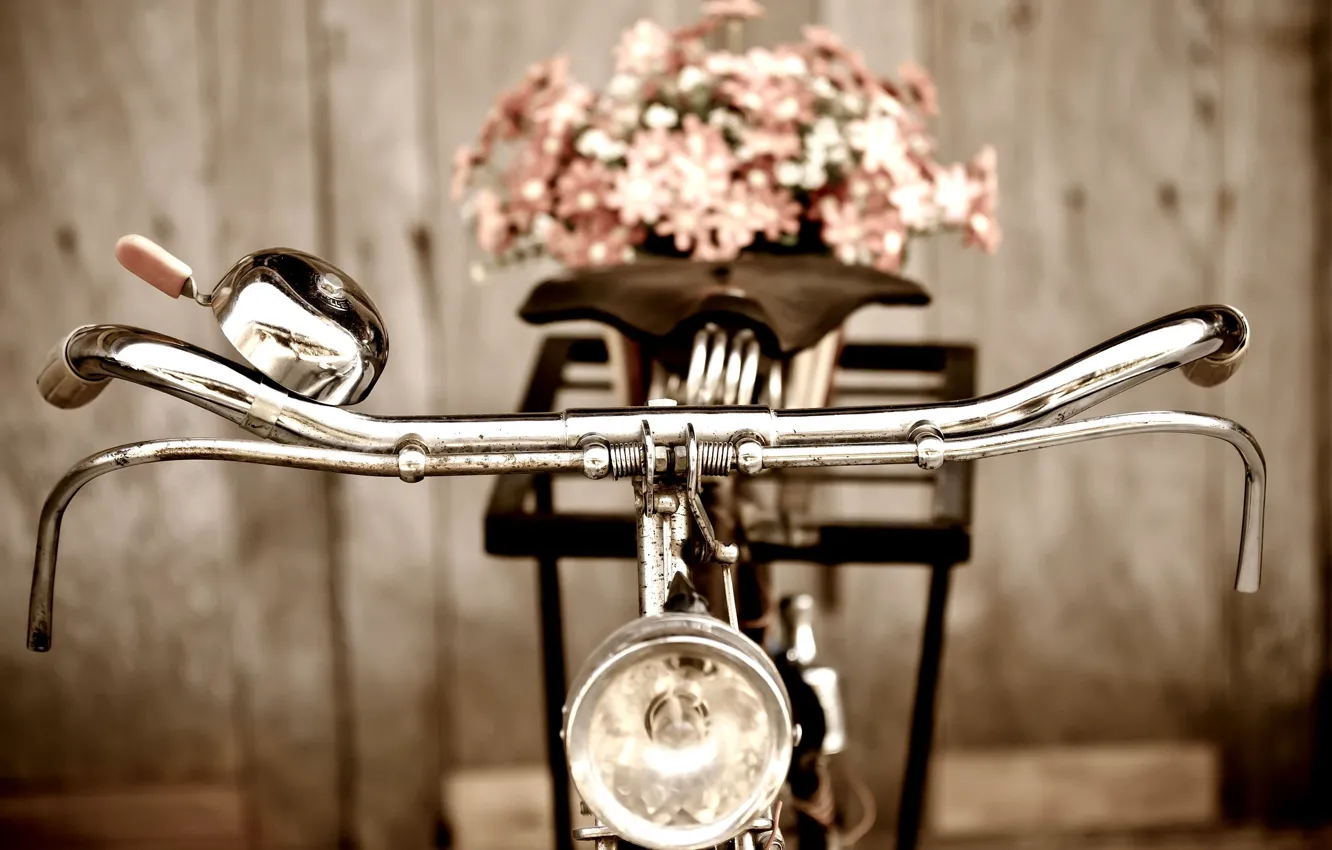 Фото обои цветы, велосипед, фон, обои, настроения, руль, wallpaper, цветочки